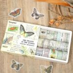 Washi Tape Box of 20 – Jungle Traces SeriesCRAFTY CUDDLEBox of Songdao washi tapes with butterfly designs on a wooden surface.