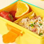 Cute Duck Lunch BoxKids Lunch BoxCRAFTY CUDDLECute Duck Lunch BoxDuck Lunch Box